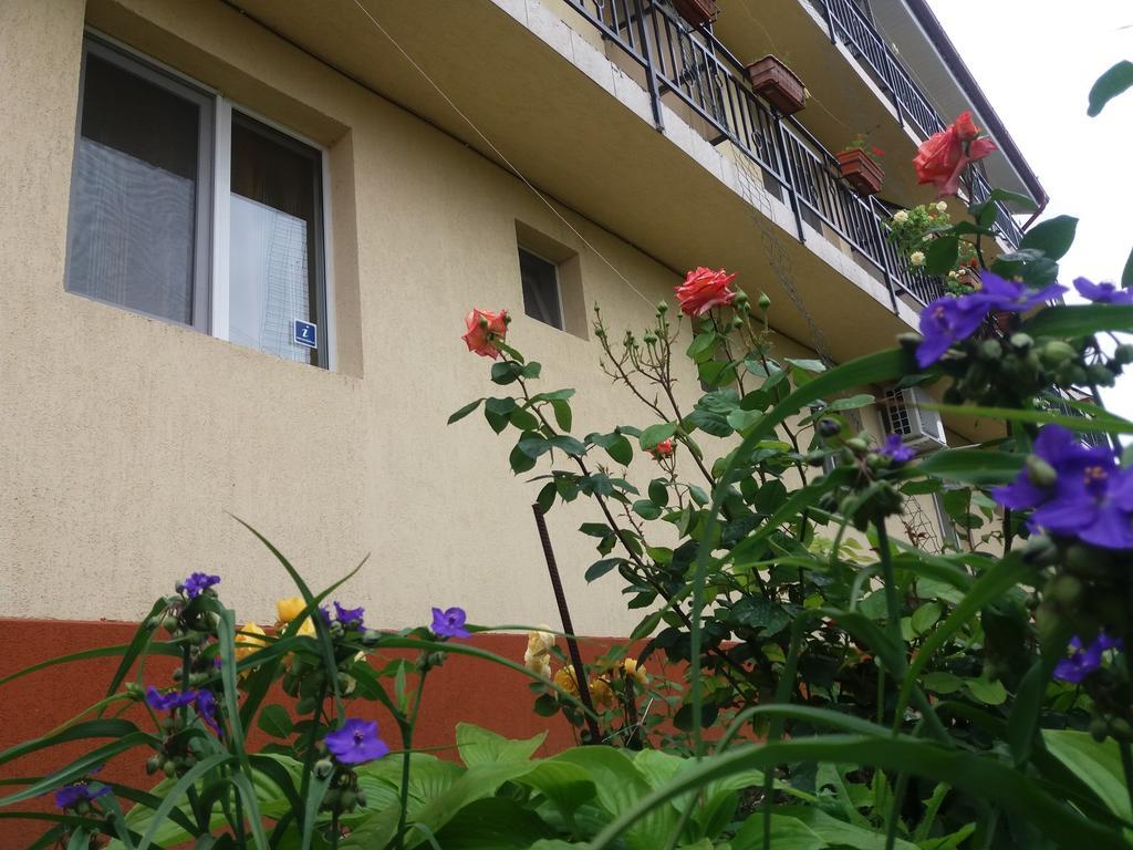 Vila Albatros Vama Veche Εξωτερικό φωτογραφία